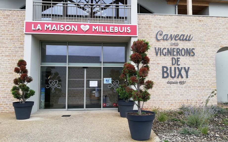 La Maison Millebuis in Buxy (Wijn uit Bourgogne)