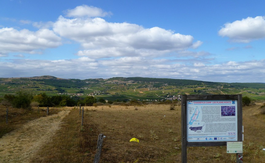 Chassey-le-Camp (Wijn uit Bourgogne)