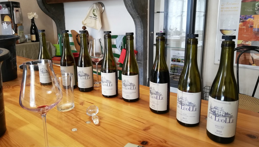 Domaine de La Luolle (Wijn uit Bourgogne)