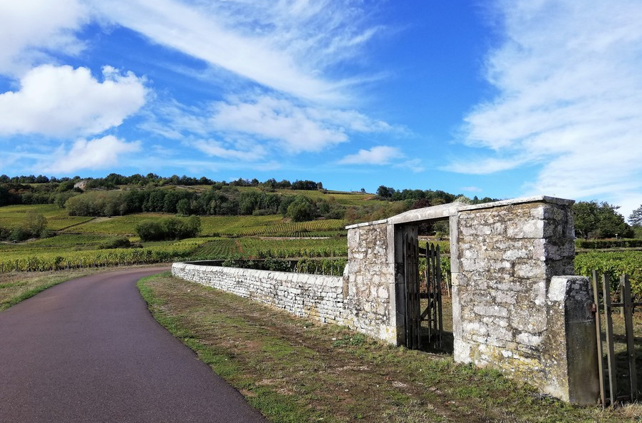 La Vallée des Vaux (Wijn uit Bourgogne)