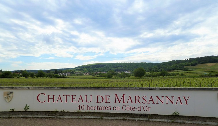 Toegang tot Château de Marsannay (Wijn uit Bourgogne)