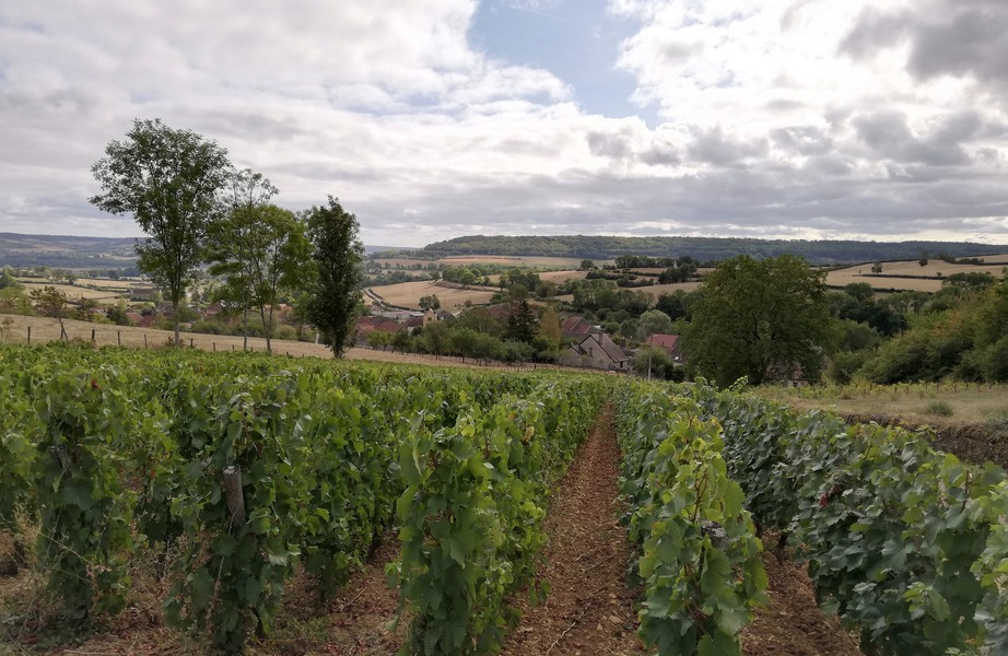 Coteaux de l'Auxois