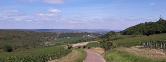 Bouzeron (Wijn uit Bourgogne)
