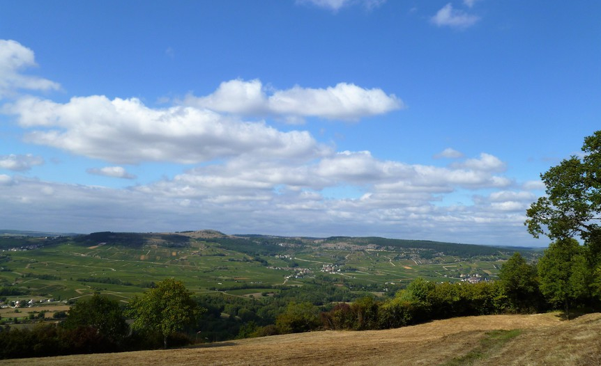 Maranges (Wijn uit Bourgogne)
