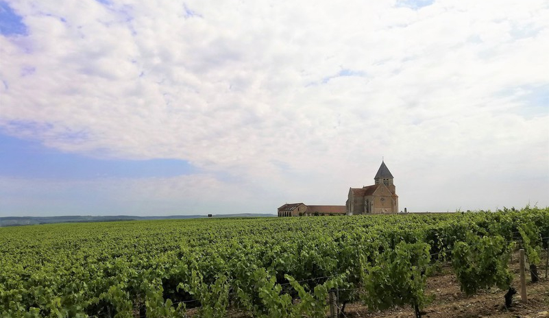 Domaine Jean-Marc Brocard (Wijn uit Bourgogne)