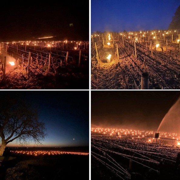 Nachtvorst in de Bourgogne