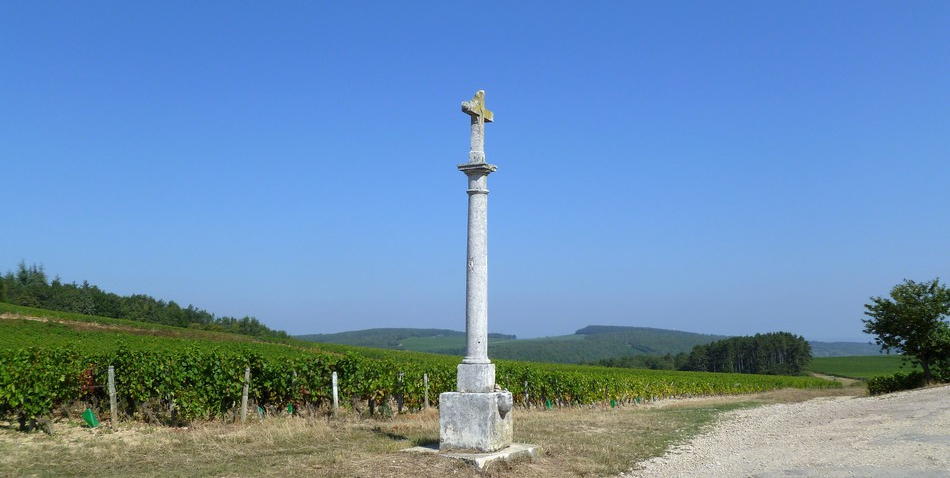 Côte Chalonnaise (Wijn uit Bourgogne)