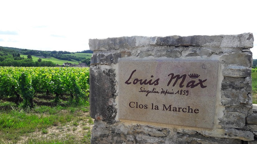 Clos la Marche in Mercurey (Wijn uit Bourgogne)