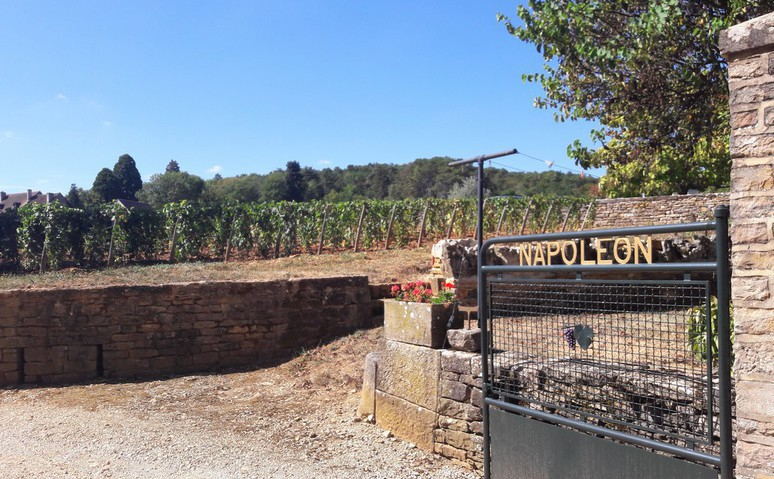 Clos Napoleon in Fixin (Wijn uit Bourgogne)