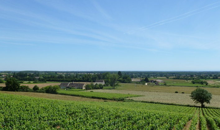 Maison Géraldine Louise in Rosey (Wijn uit Bourgogne)