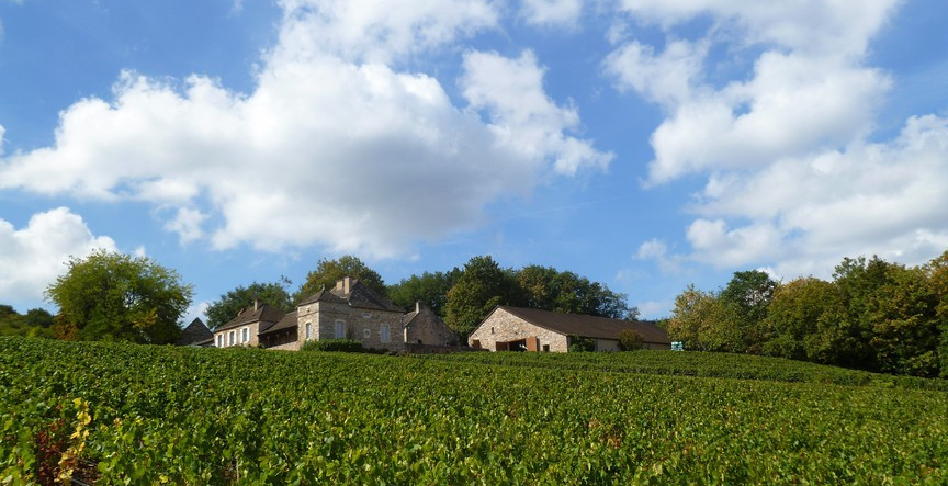 Domaine Meix Foulot in Mercurey (Wijn uit Bourgogne)
