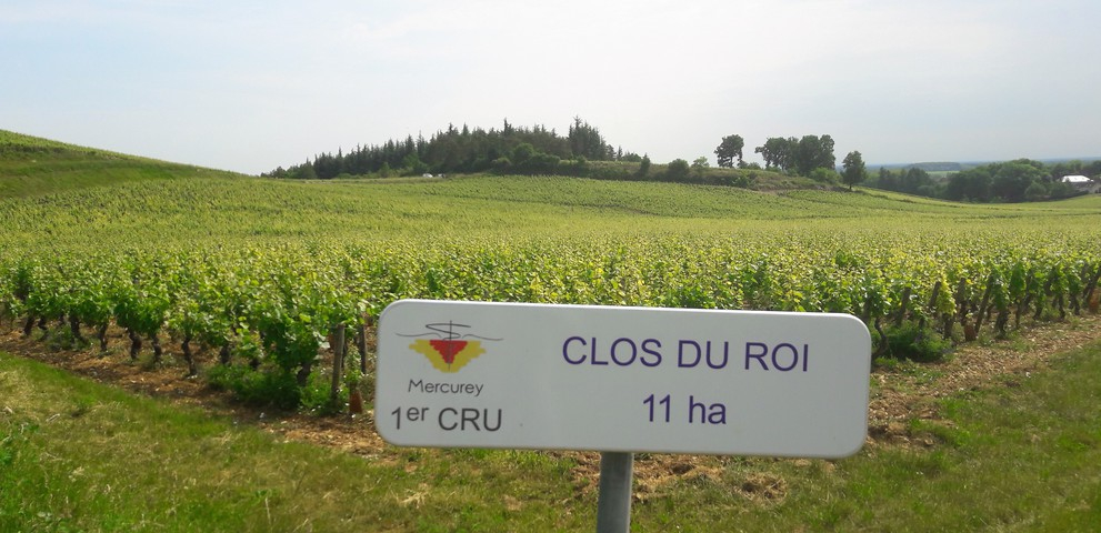 Clos du Roi in Mercurey (Wijn uit Bourgogne)