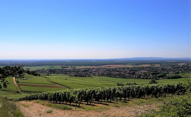 Givry in de Côte Chalonnaise (Wijn uit Bourgogne)