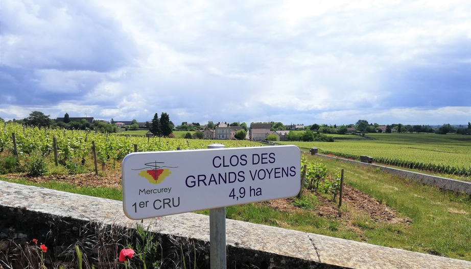 Domaine Jeannin-Naltet in Mercurey (Wijn uit Bourgogne)