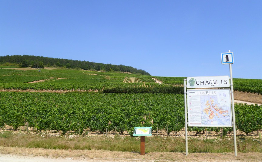 Grand Cru Chablis Les Clos (Wijn uit Bourgogne)
