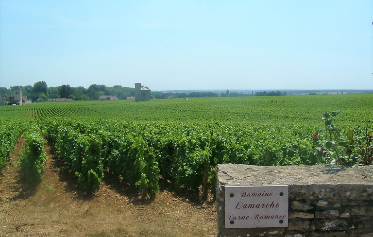 Vosne-Romanée (Wijn uit Bourgogne)