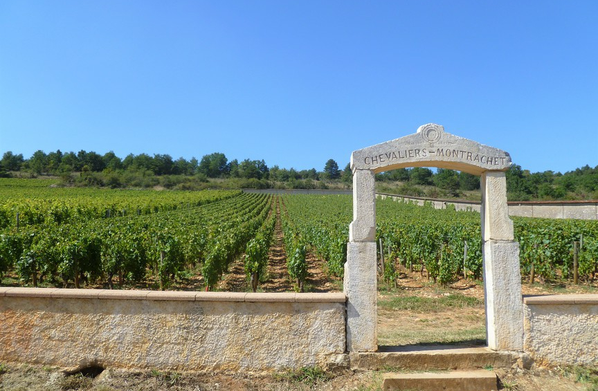 Grand Cru Chevalier-Montrachet in Puligny-Montrachet (Wijn uit Bourgogne)