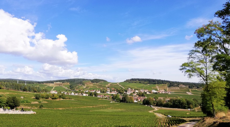 AOC Mercurey in de Côte Chalonnaise (Wijn uit Bourgogne)