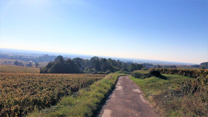 Gevrey-Chambertin (Wijn uit Bourgogne)