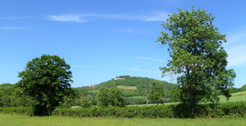 Vignerons de la Colline Éternelle (Wijn uit Bourgogne)