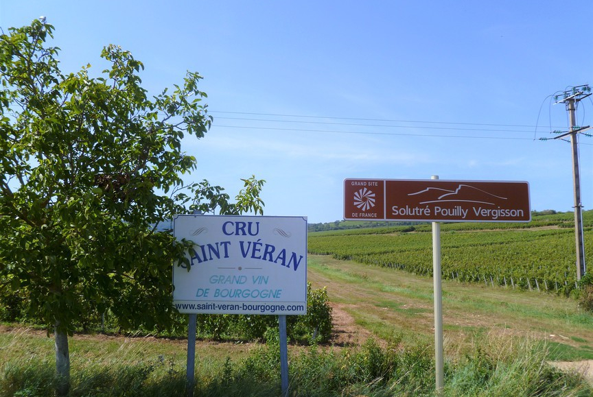 Saint-Véran (Wijn uit Bourgogne)