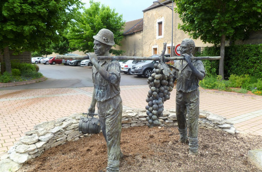 Marsannay-la-Côte (Wijn uit Bourgogne)
