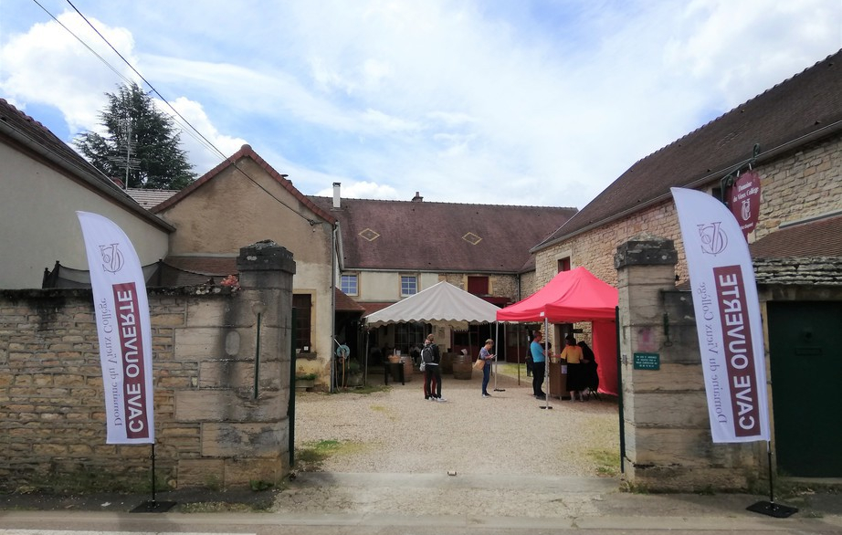 Domaine du Vieux Collège in Marsannay-la-Côte (Wijn uit Bourgogne)
