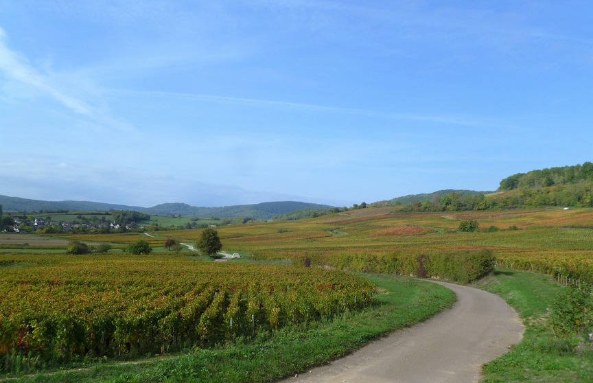 La Vallée de Vaux in de Côte Chalonnaise (Wijn uit Bourgogne)