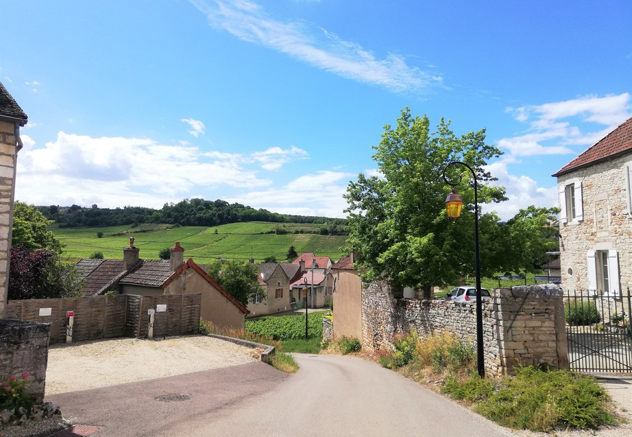 Chamirey, Mercurey (Wijn uit Bourgogne)
