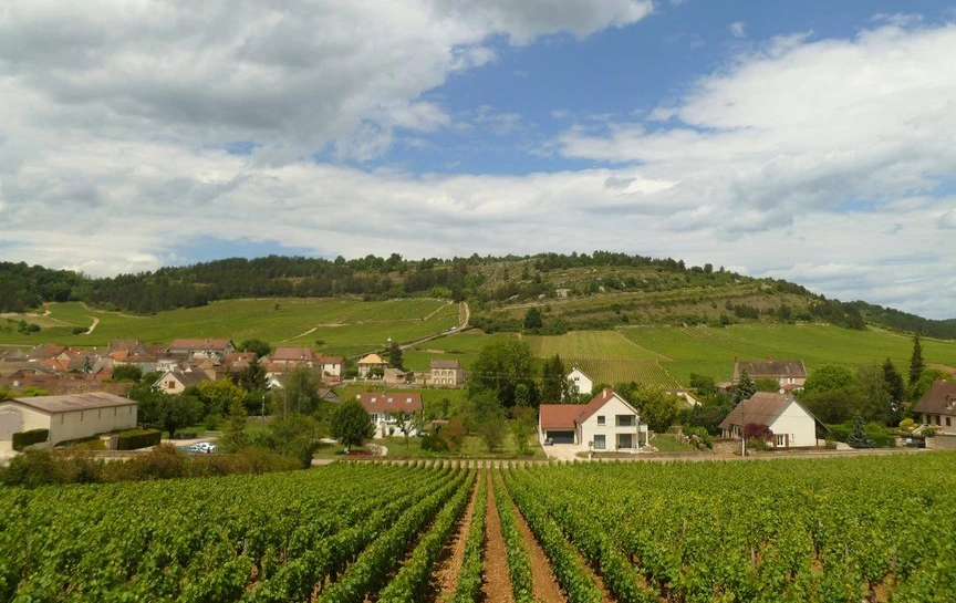 Auxey-Duresses in de Côte de Beaune (Wijn uit Bourgogne)