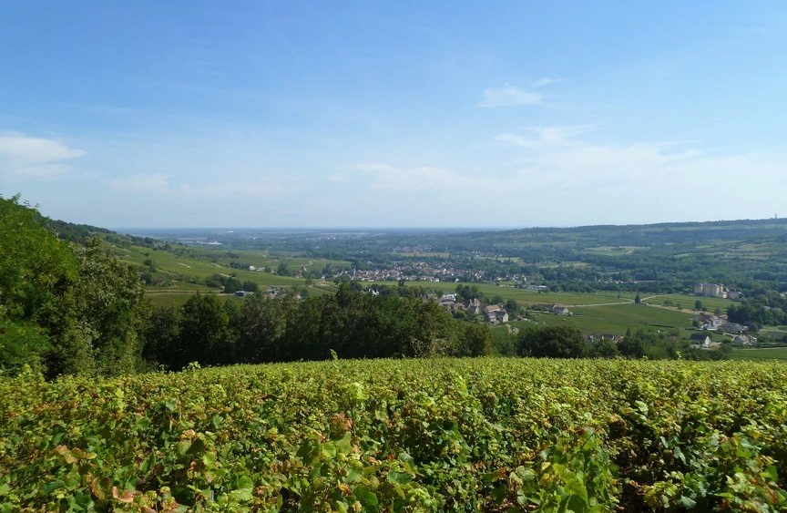 AOC Santenay in Côte de Beaune (Wijn uit Bourgogne)