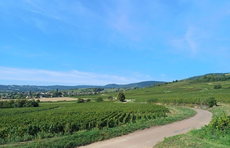 La Vallée des Vaux in de Côte Chalonnaise (Wijn uit Bourgogne)