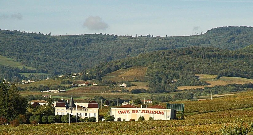 Cave de Juliénas