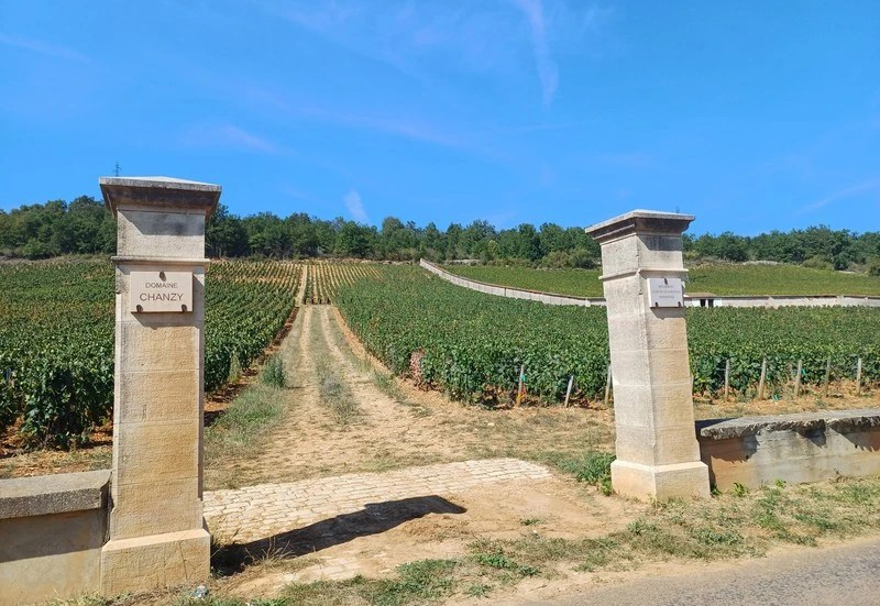 Het lieu-dit 'Clos de la Fortune' in Bouzeron is een monopole van Domaine Chazy (Wijn uit Bourgogne)