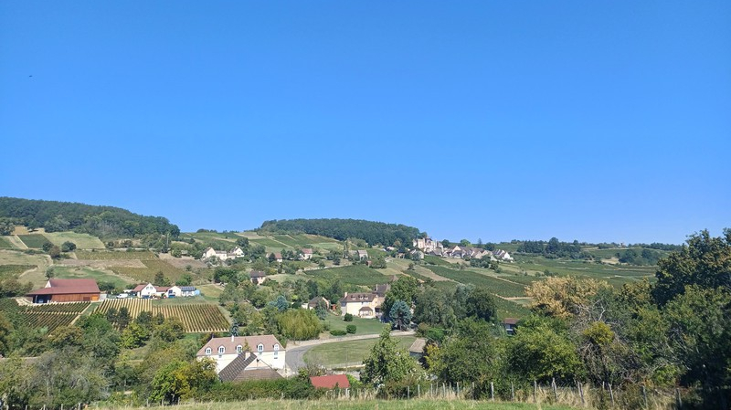 Jambles (Wijn uit Bourgogne)